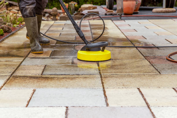 Best Animal Enclosure Cleaning  in Granger, TX